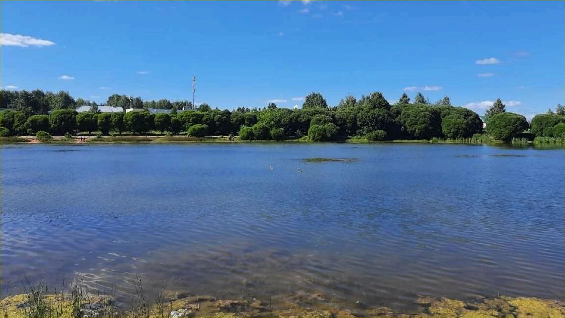 (отдыха, костино, кировской, области, идеальное) Дом отдыха