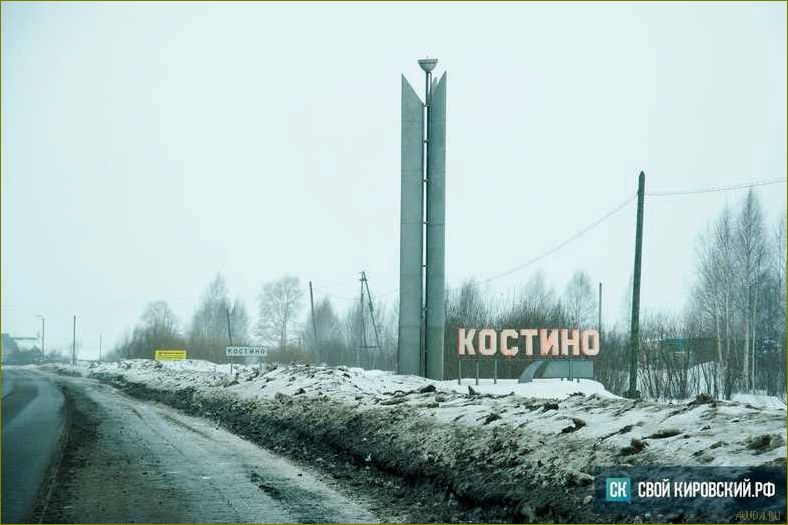 (отдыха, костино, кировской, области, идеальное) Дом отдыха