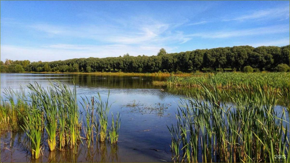 (отдыха, костино, кировской, области, идеальное) Дом отдыха