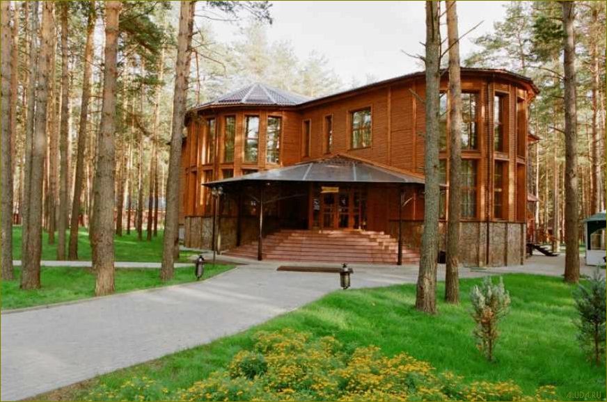 Дом отдыха с ребенком во Владимирской области — идеальное место для семейного отпуска в окружении природы и культурных достопримечательностей