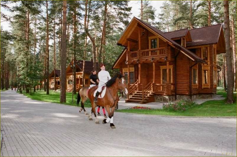 Дом отдыха с ребенком во Владимирской области — идеальное место для семейного отпуска в окружении природы и культурных достопримечательностей