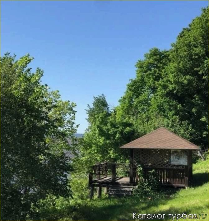 Кордон Воронежской области — идеальная база отдыха для полного релакса и наслаждения природой