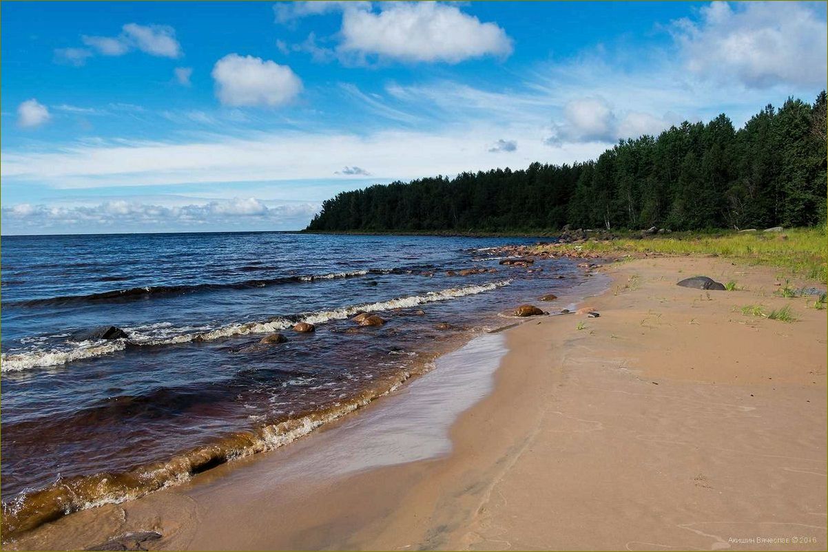 (ладожское, озеро, идеальное, место, отдыха) Ладожское озеро — идеальное место для отдыха в Ленинградской области