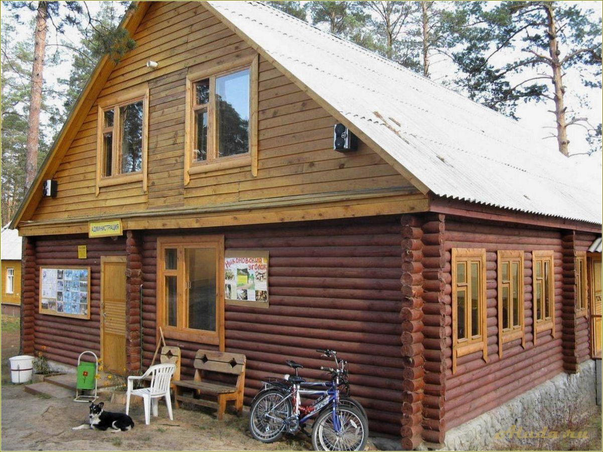 Лучшие базы отдыха в Пензе и Пензенской области — выбирайте идеальное место для отпуска!