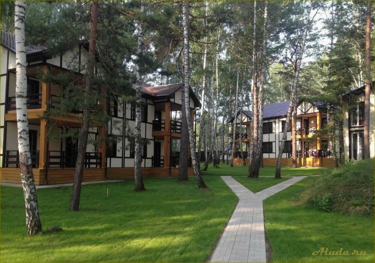 Лучшие дома отдыха в прекрасной новосибирской области — идеальный выбор для восстановления сил и наслаждения природными красотами
