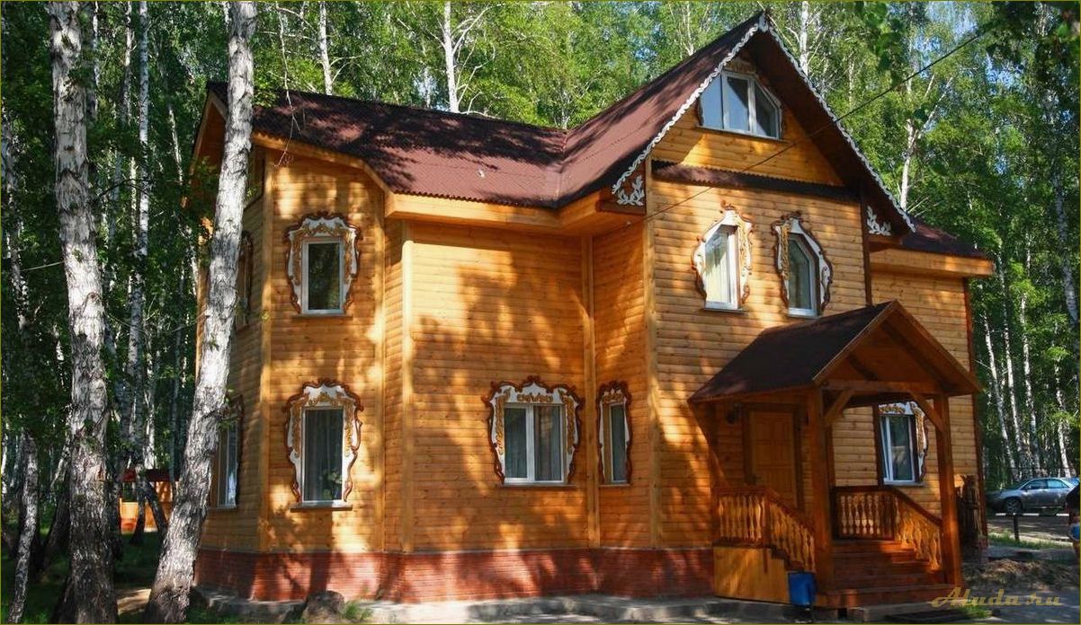 Лукоморье — идеальная база отдыха в Новосибирской области, которую стоит посетить!