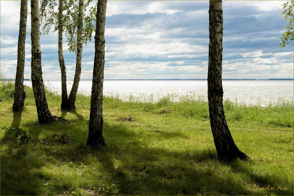 Лукоморье — идеальная база отдыха в Новосибирской области, которую стоит посетить!