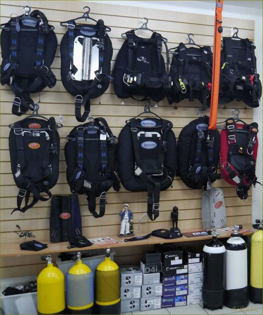 (магазины, туризма, московской, области) Магазины для туризма в Московской области — где можно приобрести все необходимое для комфортного и безопасного путешествия