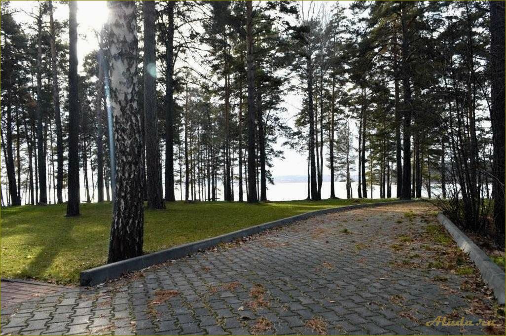 Морозово — идеальная база отдыха в Новосибирской области для любителей комфорта и активного отдыха