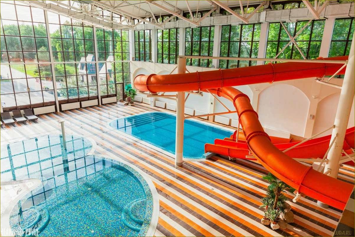 Московская область — идеальное место для детского отдыха и развлечений