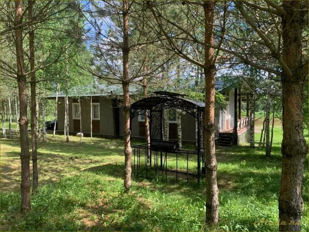 Отдых в Новгородской области — уютная база отдыха 