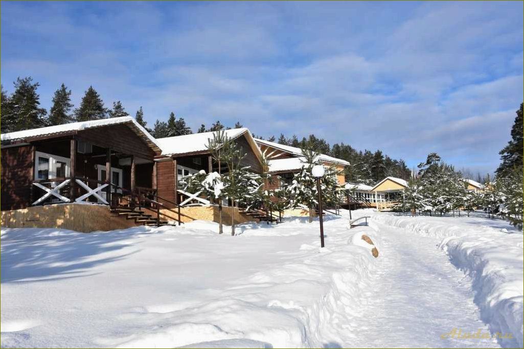 Отдых в Новгородской области — уютная база отдыха 