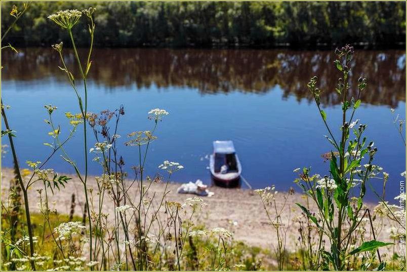 Новая база отдыха в Свердловской области: уникальный вагиль для комфортного отдыха