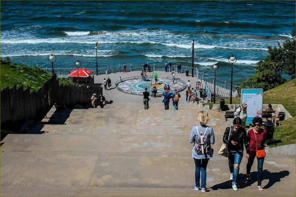 Удивительные путешествия и необычные открытия — самые актуальные новости туризма Калининградской области