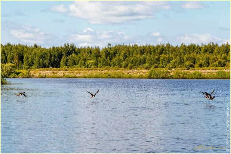 Новая база отдыха в Свердловской области: уникальный вагиль для комфортного отдыха