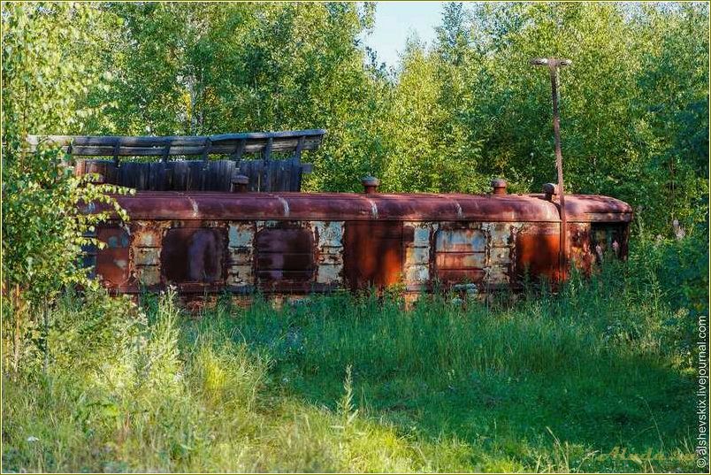 Новая база отдыха в Свердловской области: уникальный вагиль для комфортного отдыха