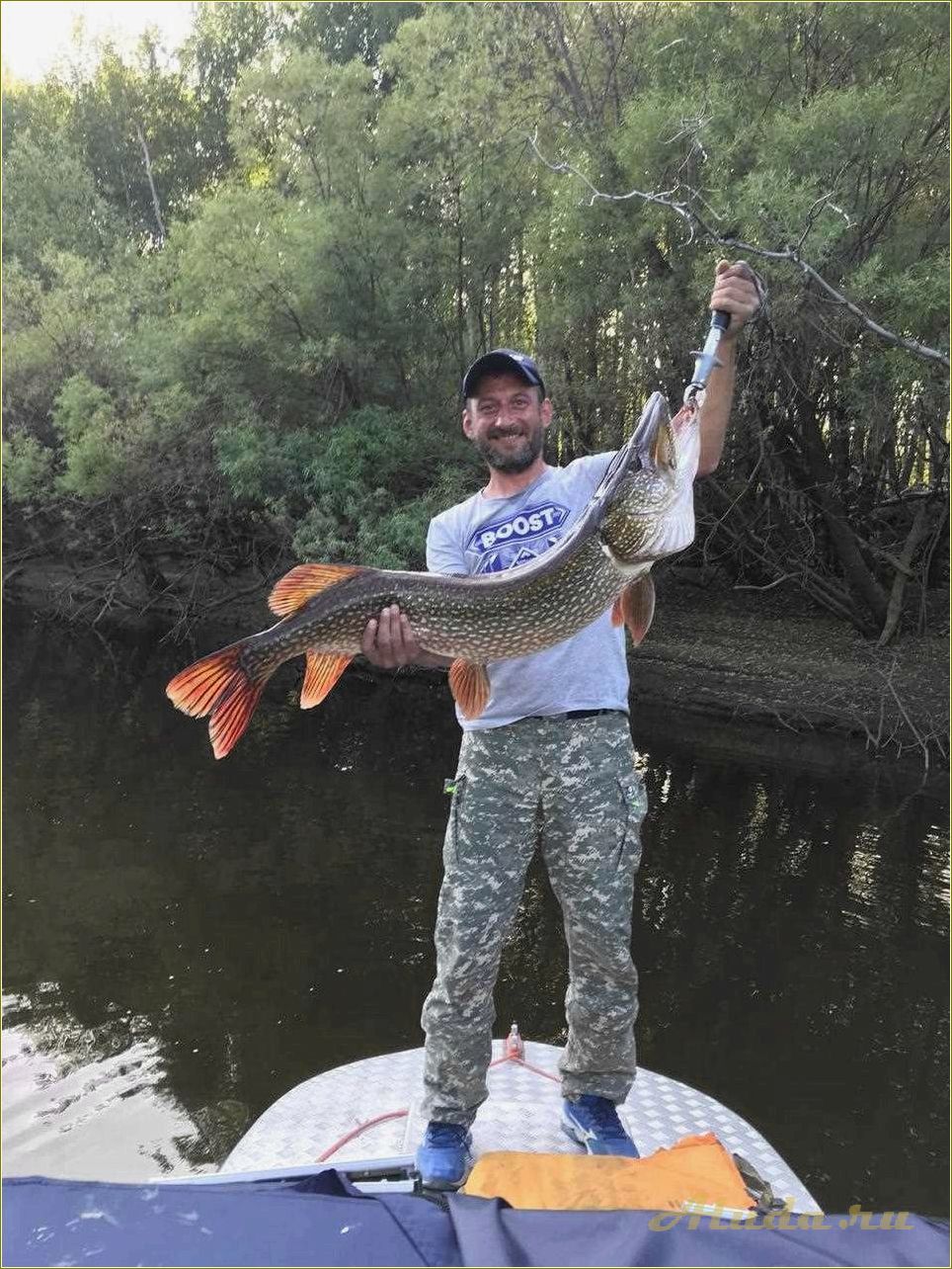 Новая база отдыха в Свердловской области: уникальный вагиль для комфортного отдыха