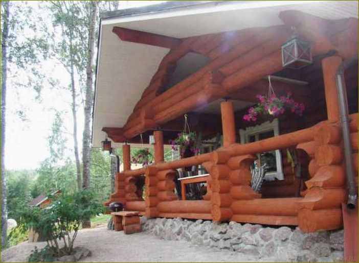 Окуневка — идеальное место для отдыха в Ленинградской области — база отдыха, комфорт и красота природы в одном месте