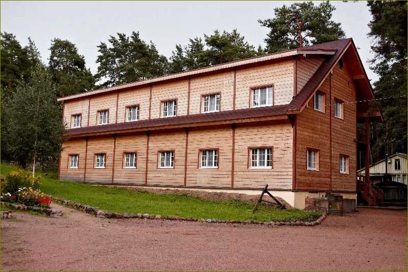 Окуневка — идеальное место для отдыха в Ленинградской области — база отдыха, комфорт и красота природы в одном месте