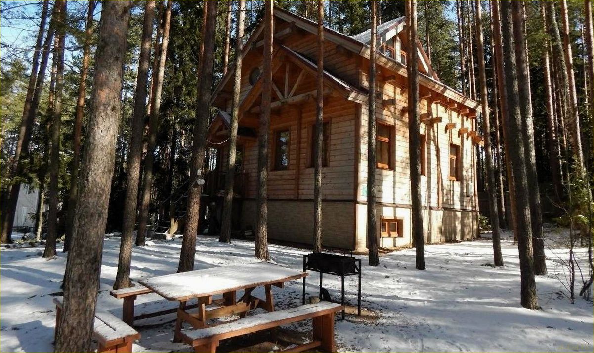 Окуневка — идеальное место для отдыха в Ленинградской области — база отдыха, комфорт и красота природы в одном месте