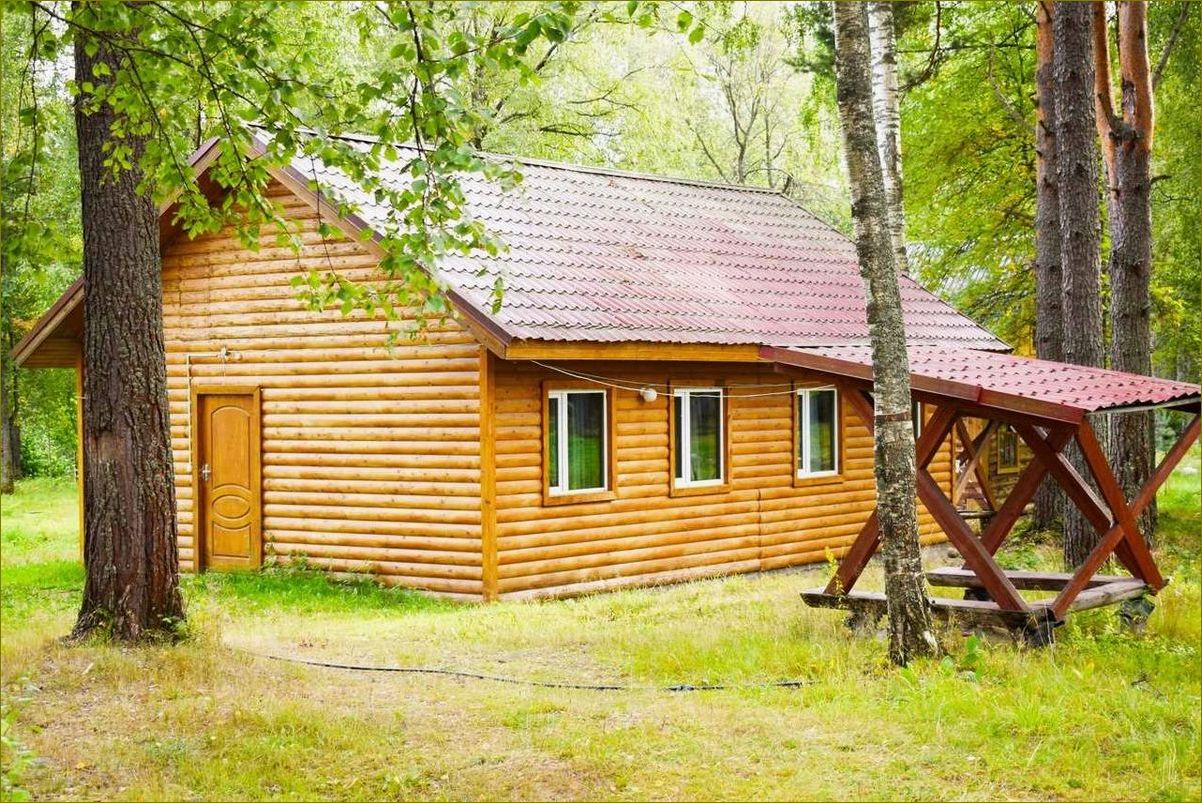 Окуневка — идеальное место для отдыха в Ленинградской области — база отдыха, комфорт и красота природы в одном месте