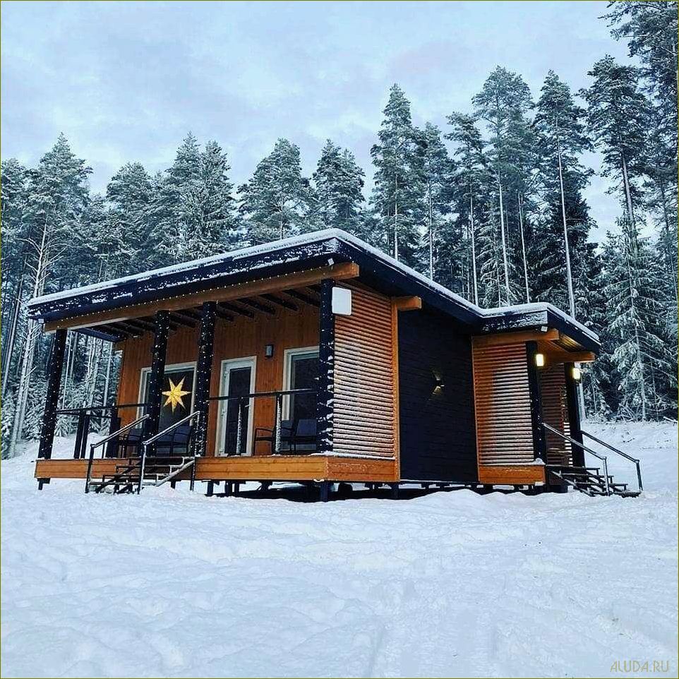 Окуневка — идеальное место для отдыха в Ленинградской области — база отдыха, комфорт и красота природы в одном месте