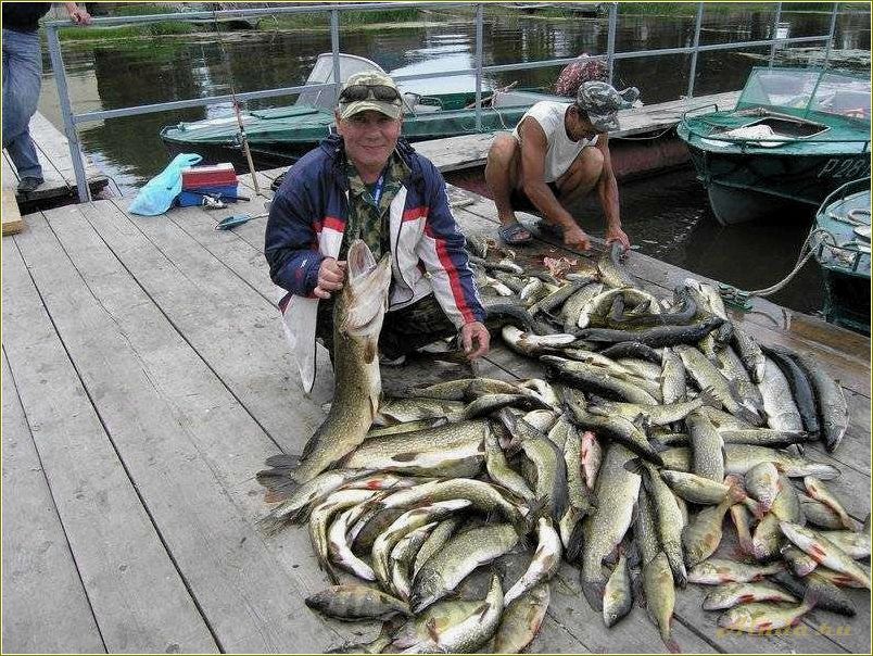 Лучшие места для рыбалки и отдыха в Саратовской области