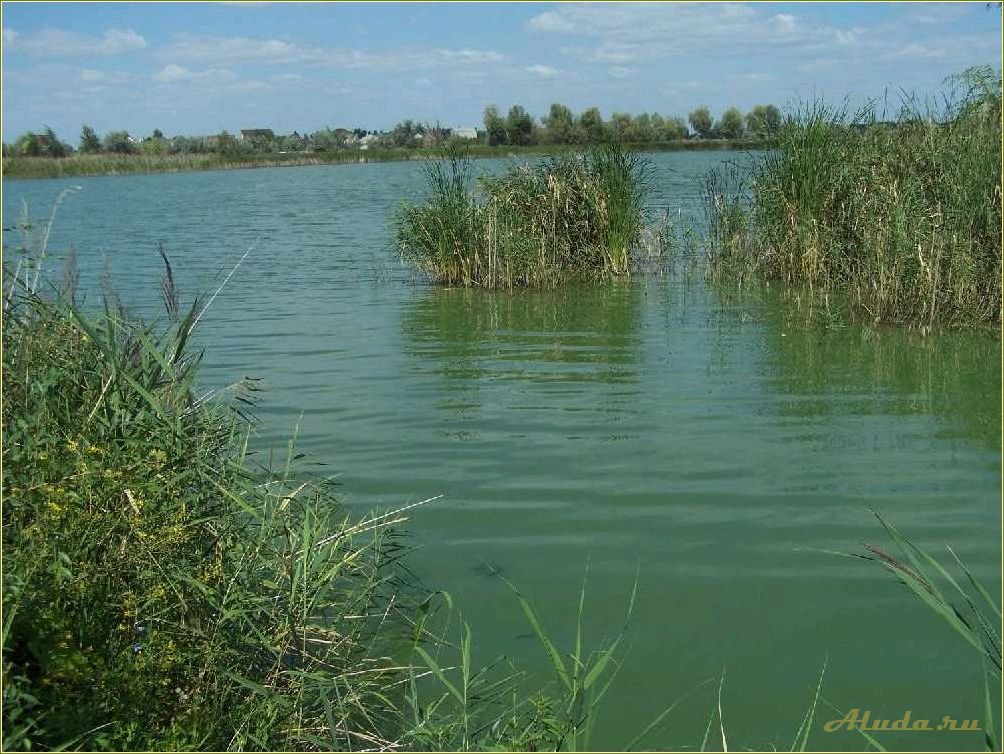 Лучшие места для рыбалки и отдыха в Саратовской области