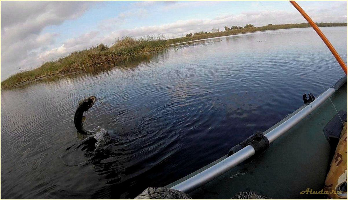 Лучшие места для рыбалки и отдыха в Саратовской области