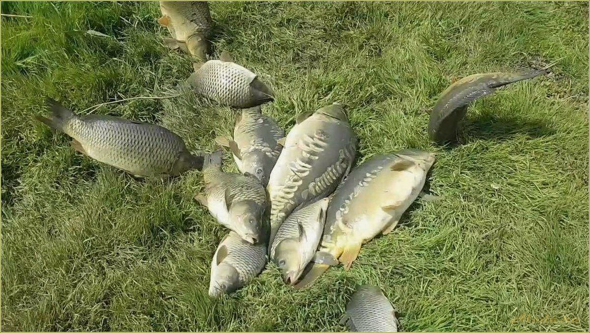 Лучшие места для рыбалки и отдыха в Саратовской области