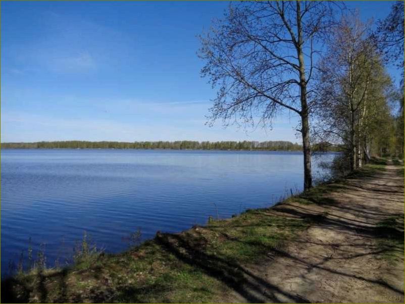 (отдых, егорьевском, районе, московской, области) Отдых в Егорьевском районе Московской области — лучшие места для отдыха и развлечений