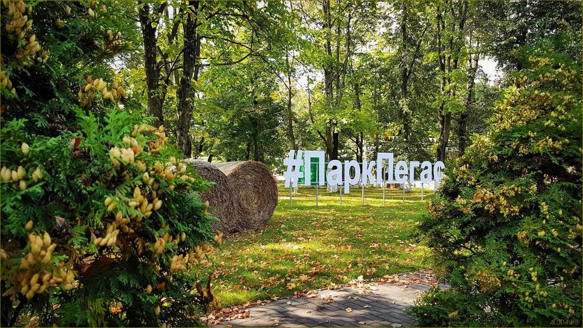 (отдых, егорьевском, районе, московской, области) Отдых в Егорьевском районе Московской области — лучшие места для отдыха и развлечений