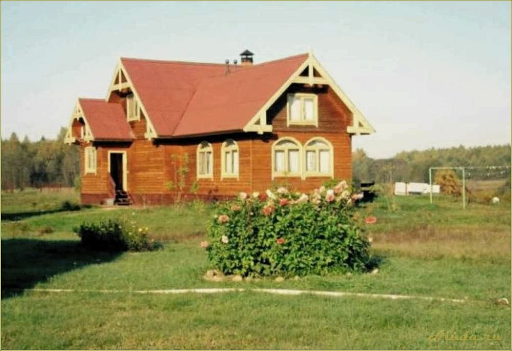 (отдых, тверской, области, медведица, прелести) Отдых в Тверской области: Медведица и ее прелести