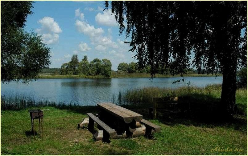 (отдых, тверской, области, медведица, прелести) Отдых в Тверской области: Медведица и ее прелести