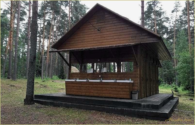 (отдых, тверской, области, медведица, прелести) Отдых в Тверской области: Медведица и ее прелести