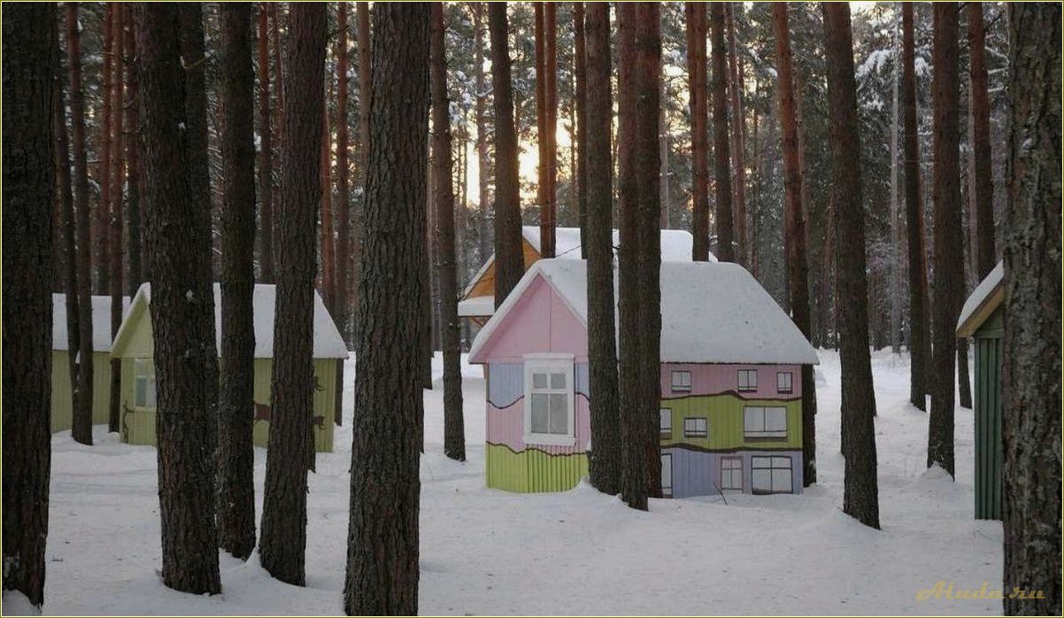 (отдых, тверской, области, медведица, прелести) Отдых в Тверской области: Медведица и ее прелести