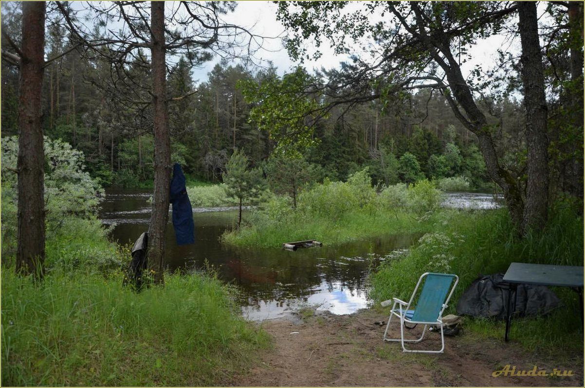 (отдых, тверской, области, медведица, прелести) Отдых в Тверской области: Медведица и ее прелести