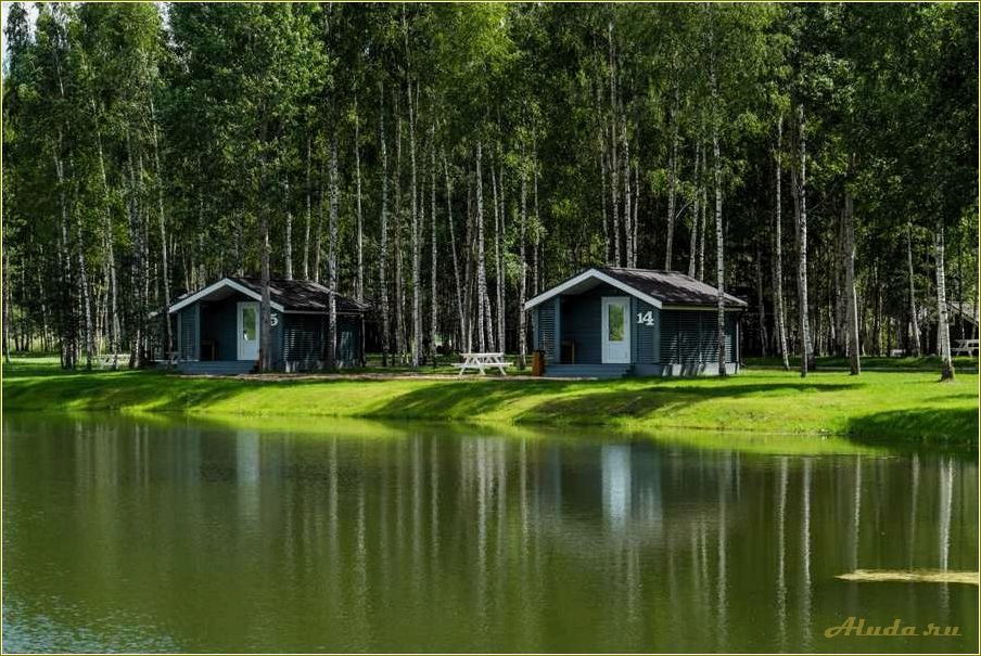 Отдых на базе Завидова Тверской области