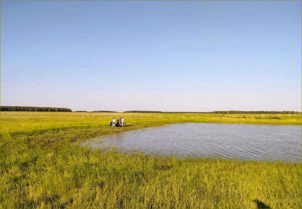 Отдых на Иртыше в Омской области — дикарь, рыбалка и природные красоты