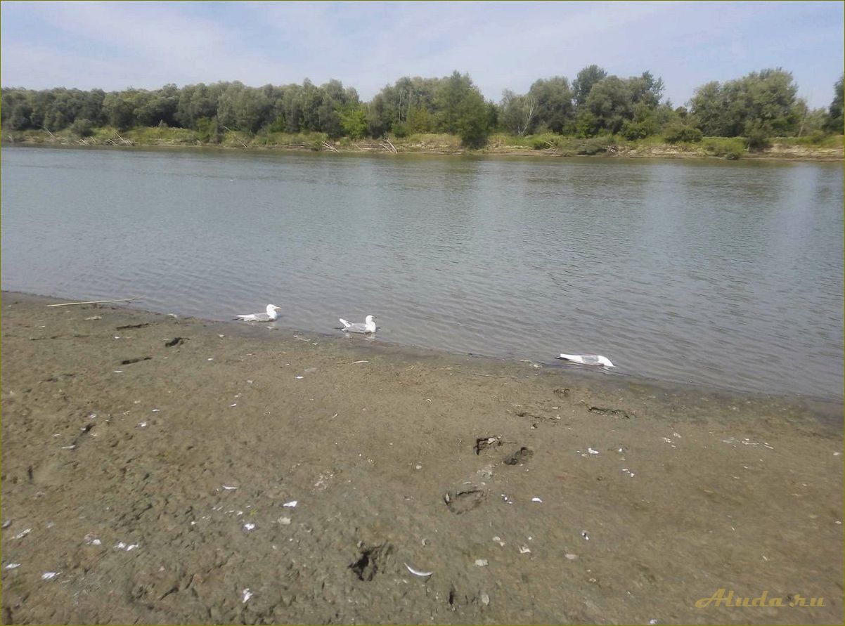 Отдых на Иртыше в Омской области — дикарь, рыбалка и природные красоты
