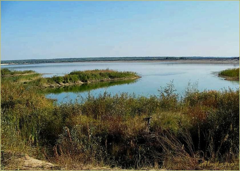 (отдых, керше, тамбовской, области) Отдых на Керше в Тамбовской области