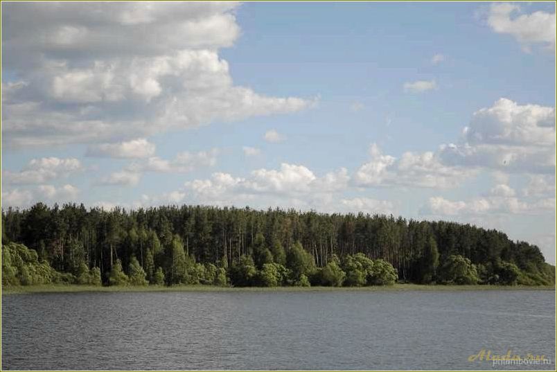 (отдых, керше, тамбовской, области) Отдых на Керше в Тамбовской области