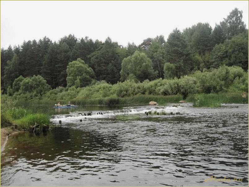 Отдых на реке в Тверской области