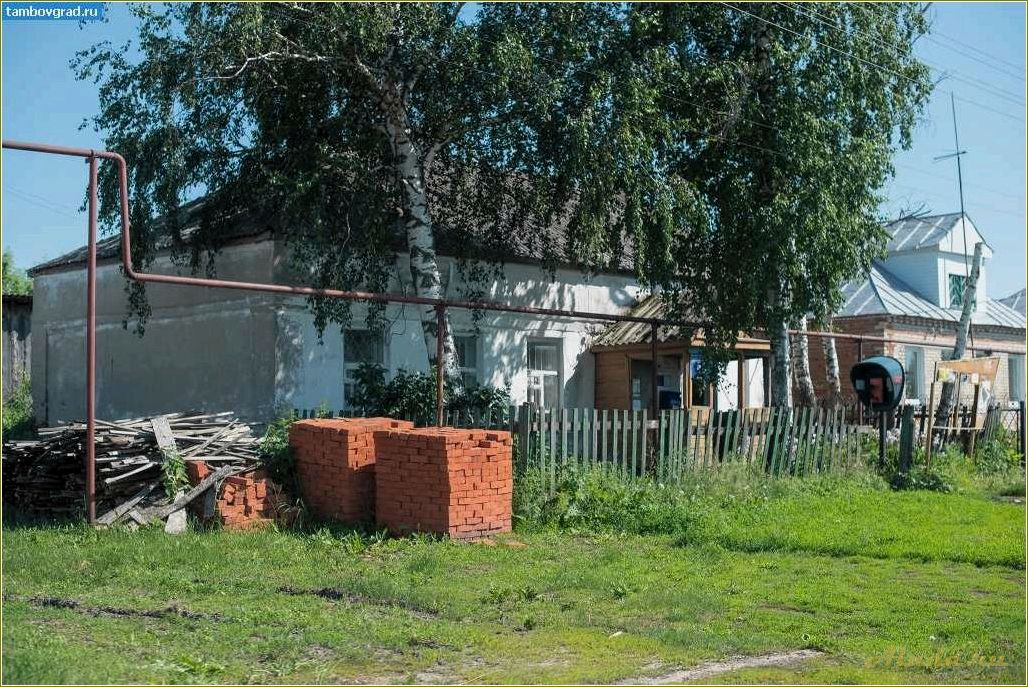 (отдых, селе, тамбовской, области, преимущества) Отдых на селе в Тамбовской области: преимущества и возможности