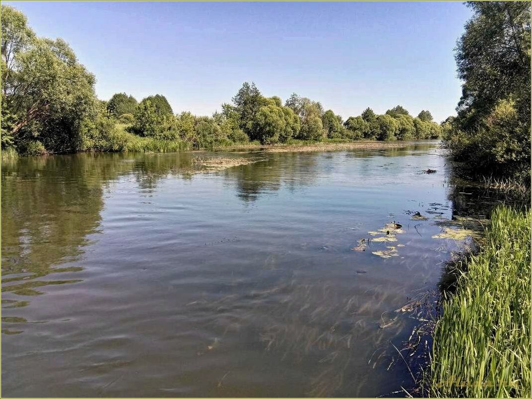 (разнообразный, увлекательный, отдых, рязанской, области) Разнообразный и увлекательный отдых в Рязанской области