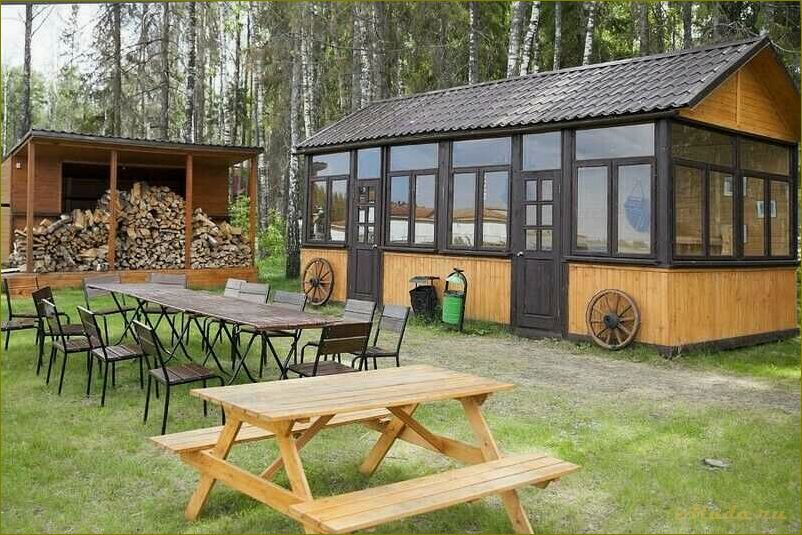 (отдых, нижегородской, области, идеальное, место) Отдых на юге нижегородской области — идеальное место для релакса и наслаждения природой