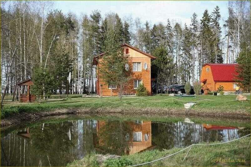 (отдых, нижегородской, области, идеальное, место) Отдых на юге нижегородской области — идеальное место для релакса и наслаждения природой