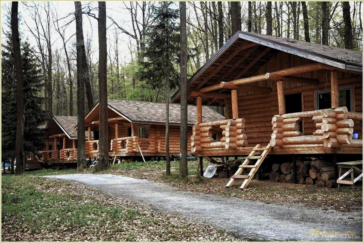 (отдых, тульской, области, недорого, интересно) Отдых в Тульской области: недорого и интересно