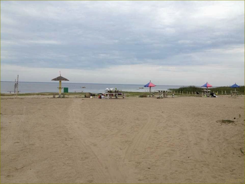 Отдых на пляжах Вологодской области — наслаждайтесь солнцем и песчаными берегами