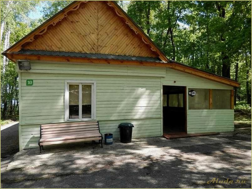 Отдых в березках Ростовской области — идеальное место для семейного отдыха и активного времяпрепровождения